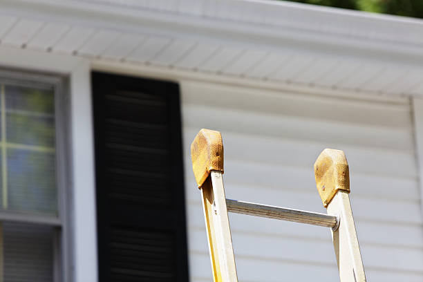 Best Brick Veneer Siding  in St Simons, GA