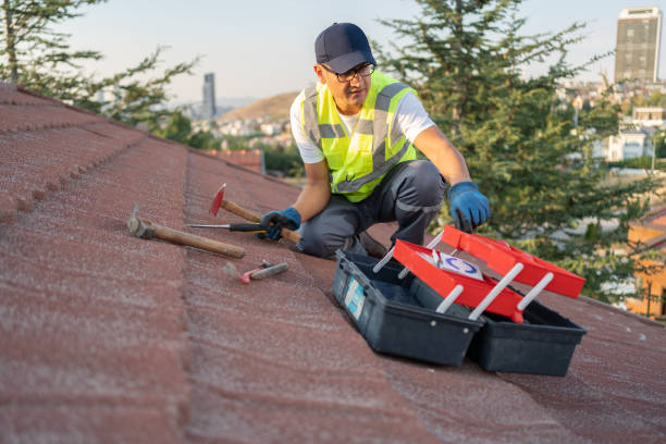 Best Siding for Commercial Buildings  in St Simons, GA